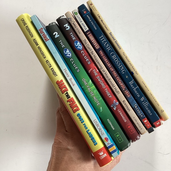 8 pre-teen chapter books for boys - Picture 3 of 5